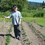 Father Robert Leising tends the garden at St. John the Baptist Catholic Church.-Photo by Toni Ross