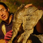 Joel Isaak shows a mask made of fish skin he was working on this Monday during a three-day residency at the Pratt Museum.