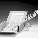 close-ups of the art and its display box