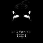 Blackfish
