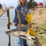 Just wanting “to do my part,” Martha Roderick focuses her cleanup efforts on Bishop’s Beach on Saturday.-Photo by McKibben Jackinsky, Homer News