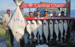 Winner of the 2013 Homer Jackpot Halibut Derby, Gene Jones, left, of Bellvue, Iowa, shows off the fish he caught July 25, 2013, while fishing with Capt. David Bayes of Central Charters. Also showing off their catch are Jones’ sister-in-law and brother, Darla and Keith Jones on the right, and others fishing with them the day Jones hooked the big one.-Photo provided by Gene Jones