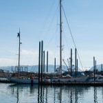 Photo by Heather Ericson