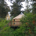 Jenny Medley and Jim Hornaday play ukulele at a party celebrating the new dock at the Peterson Bay Field Station.-Photo by Michael Armstrong, Homer News