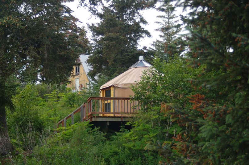 Jenny Medley and Jim Hornaday play ukulele at a party celebrating the new dock at the Peterson Bay Field Station.-Photo by Michael Armstrong, Homer News