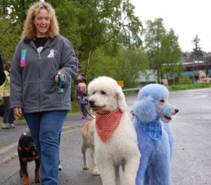 Lisa Allison walks her standard poodles, Bogart, left, and Louis, during an earlier Strut Your Mutt.