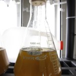 -Photo by Aryn Young