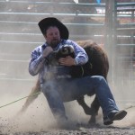 Justin Rainwater attempts to wrestle an unwilling steer to the ground.-Photo by McKibben Jackinsky, Homer News
