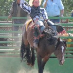 Ruger Piva strains to hang on to Diablo until the eight-second buzzer.-Photo by McKibben Jackinsky, Homer News