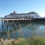 Loading carcasses-Photo by Miranda Weiss