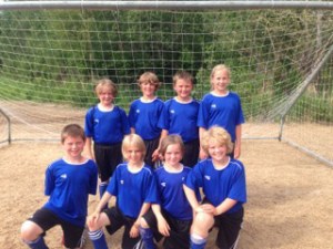 The U10 Homer Hawks placed fourth in the Solstice Cup in Anchorage on June 22-23. Top row from left: Parker Lowney, Phin Weston, Owen Glasman and Jessica Sonnen; bottom row from left, Eli Johnson, Austin Cline, Thatcher Lowney and Olivia Glasman.-Photo by Heidi Johnson