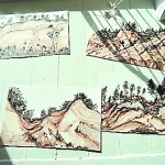 Spotlight on Homer houses