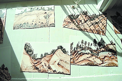 Spotlight on Homer houses