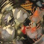 Photo by McKibben Jackinsky, Homer News