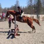 Libby Fabich and her horse practice jumping.-Photo by Jeannie Fabbich
