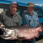 David McCoy, right, of Junction City, Ore., shows off the 86.5-pound king salmon he caught on the Kenai River in Soldotna on July 26, 2006, with guide Danny Paulk, left, after the fish was weighed at the Alaska Department of Fish and Game. Trophy catches are increasingly rare on the Kenai, and none have been recorded by ADFG in the last four years.-Peninsula Clarion file photo