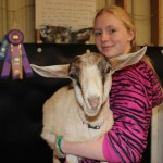 Samantha Martin of Homer not only won a blue ribbon but also a division champion ribbon ffor her goat, Yanell. She also won ribbons for her bead and art work.-Photo by McKibben Jackinsky; Homer News