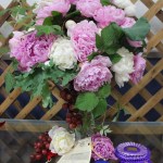 Peonies by Alaska Peony Market Co-Op claim a first-place blue ribbon and a division-champion purple ribbon at the Kenai Peninsula Fair.-Photo by McKibben Jackinsky, Homer News