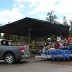Sen. Peter Micciche, a candidate for the Alaska Senate, treats Kenai Peninsula Fair visitors to hay rides.-Photo by McKibben Jackinsky; Homer News