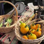 Fresh veggies come in all colors, shapes and sizes at Christina Castellanos’ booth at the Farmers’ Market.-Photo by Kyra Wagner