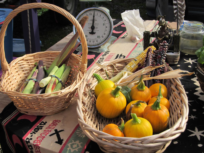 Fresh veggies come in all colors, shapes and sizes at Christina Castellanos’ booth at the Farmers’ Market.-Photo by Kyra Wagner