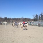 A western riding lesson gives Horse Camp participants new skills.-Photo by Jeannie Fabbich