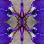 One of Joluna Love’s “Spirt-ah-graphy” images.