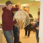 J.R. Harris guides the whale out of a Bayview Hall classroom. Assisting him, from left to right, are Larry Staehle, Stephen Fogarsi and Lee Post.-Photo by Michael Armstrong, Homer News