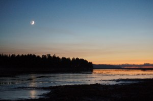 High tides and a waxing moon