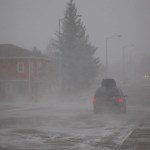 Photo by McKibben Jackinsky, Homer News