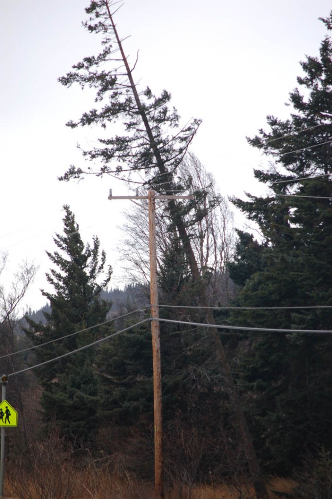 Photo by Michael Armstrong, Homer News