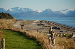 People in cars and trucks visit Bishop’s Beach last Thursday. The property in the foreground is owned by the Vann family, who marked off their beach property but have allowed pedestrian access from Main Street. The green areas show how vegetation can recover when use is minimized.-Photo by Michael Armstrong, Homer News