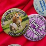 Photo by Michael Armstrong, Homer News