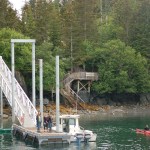 Kim McNett kayaks around the new dock at the Center for Alaskan Coastal Studies Peterson Bay Field Station.