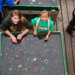 The old landing and staircase is in the background.-Photo by Michael Armstrong, Homer News