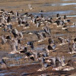 Just passing through