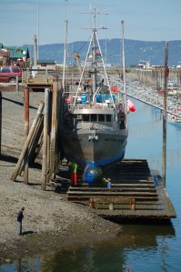 The crew of the F/V Western Freedom work on the boat at the steel grid at the Homer Harbor about 1 p.m. last Thursday. -Photo by Michael Armstrong, Homer News