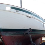 Photo by Michael Armstrong, Homer News