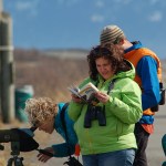 A woman looks up a bird while watching shorebirds last Friday.