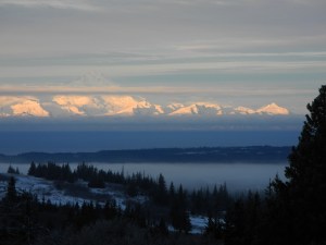 Alpenglow shines on Mount Iliamna during sunrise last Friday as seen from Diamond Ridge. Homer has already gained 11 minutes of daylight since last Thursday.-Photo by Michael Armstrong, Homer News