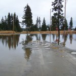 The Anchor Point intersection of Ester Avenue and Birch Street is submerged by flooding caused by recent rain. -Photo by McKibben Jackinsky; Homer News
