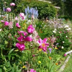 Bright flowers mark the garden of Shirley and Harry Forquer.-Photo provided
