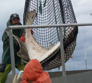 Photo by McKibben Jackinsky, Homer News