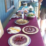 Photo by McKibben Jackinsky, Homer News