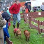 Pig wrangler Robert McGinnis encourages two members of the Kenai Peninsula Racing Pigs team to hurry along to the finish line during the 2013 fair. The pigs are a favorite of fair-goers.-Homer News file photo