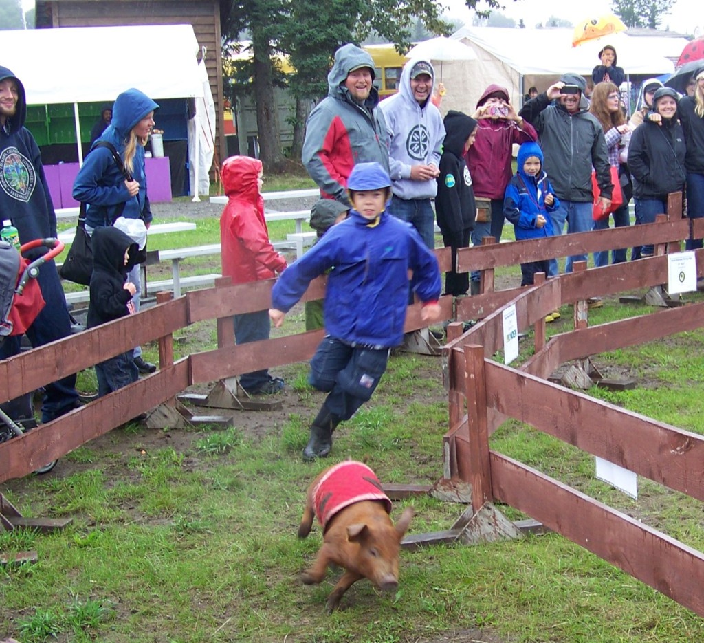 Nick Sloan, 10, of Kenai, tests his speed against one of the Kenai Peninsula Raciing Pigs at the fairgrounds in Ninilchik on Friday.-Photo by McKibben Jackinsky, Homer News