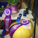 Kenai Peninsula Fair promises fun for all