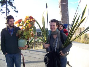 Randy Pine, Olympia Piedra and Lupin Pine add a little green to their lives at the Homer Public Library book and plant sale last Saturday. -Photo by McKibben Jackinsky, Homer News