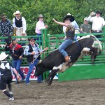 Ninilchik rodeo family camaraderie is evident in each event, whether it’s a young cowboy experiencing the thrill of calf riding, a bull rider trying to hang on for eight seconds, or the two-member teams in the roping competitions.-Photo by McKibben Jackinsky, Homer News