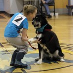 Bosco, a one-year-old Husky, shakes hands with Haylee Overson. Bosco was recognized as the biggest dog in the Snow Rondi Dog Show and also won the People’s Choice award. -Photo by McKibben Jackinsky, Homer News